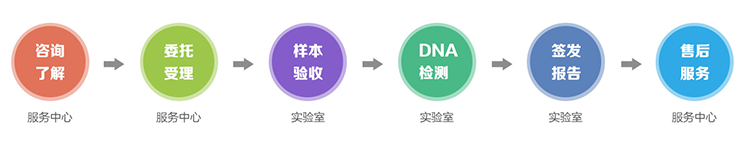 建德市隐私亲子鉴定流程