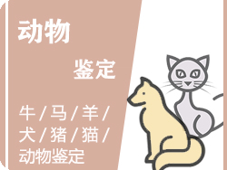 建德市动物鉴定