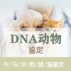 建德市动物鉴定